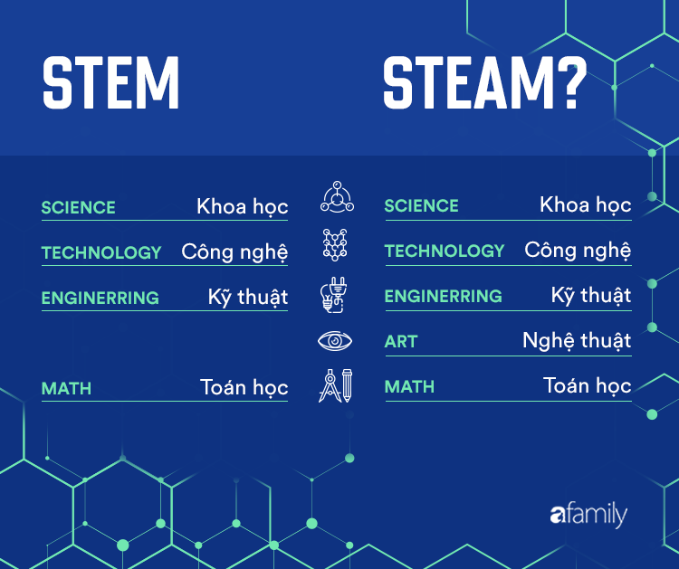 stem và steam 
